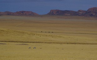 205 Namibia Okt 2006 .JPG
